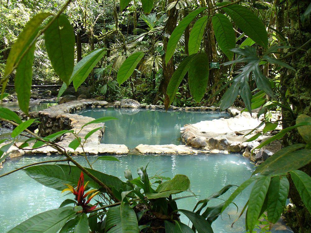 Hotel Termales Del Bosque & Hot Springs La Marina Exterior foto