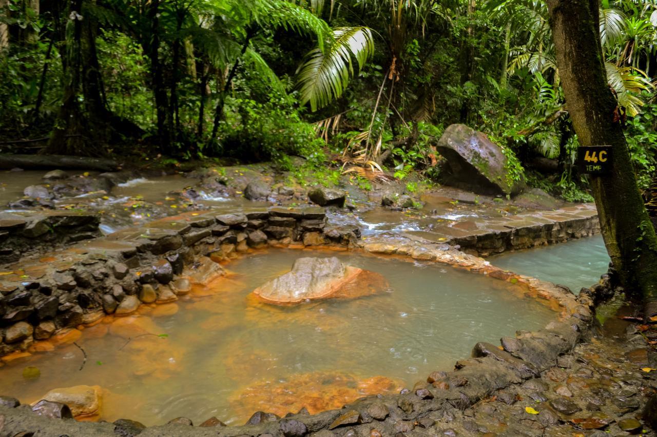 Hotel Termales Del Bosque & Hot Springs La Marina Exterior foto