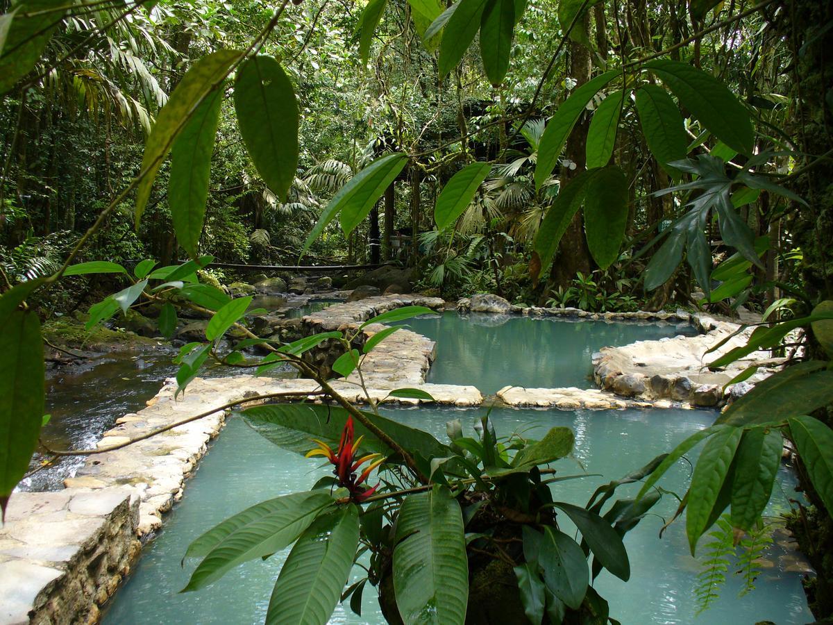 Hotel Termales Del Bosque & Hot Springs La Marina Exterior foto